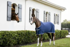 Abschwitzdecke Amigo Jersey Cooler, Jerseydecke, Transportdecke