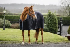 Abschwitzdecke Anniversary Fleece, Fleecedecke