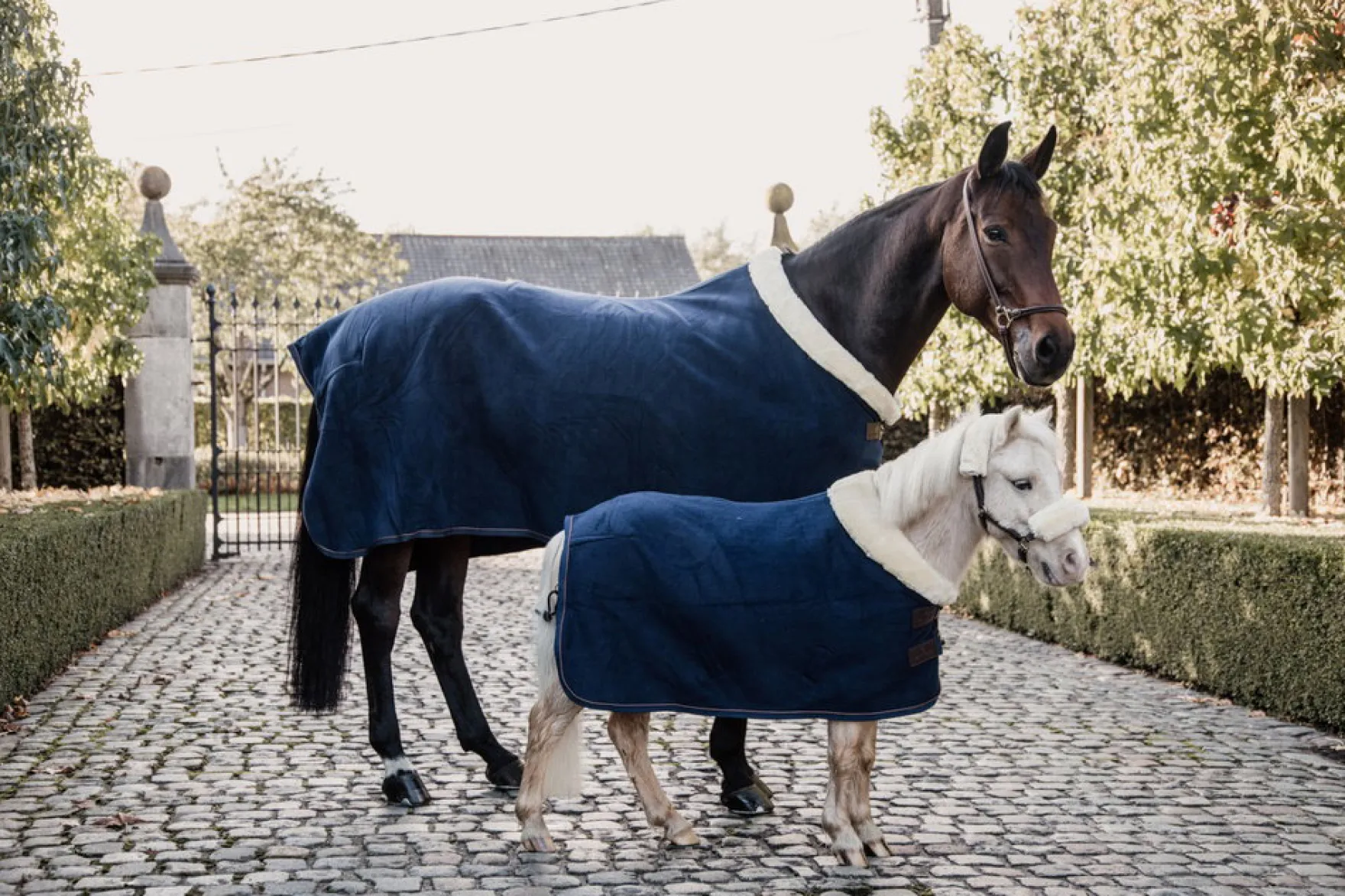 Abschwitzdecke Fleece Show Rug Heavy, Fleecedecke