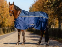 Abschwitzdecke Therapy Cooler, Magnetfelddecke, Big Neck