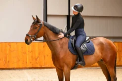 Anatomische Spezialtrense FaySport, ohne Zügel