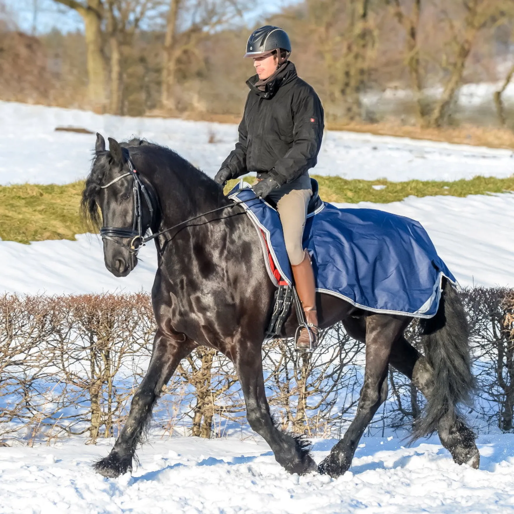 Ausreitdecke Riding Rug