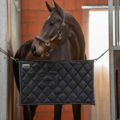 Boxentürverschluss Competition, Stable Guard