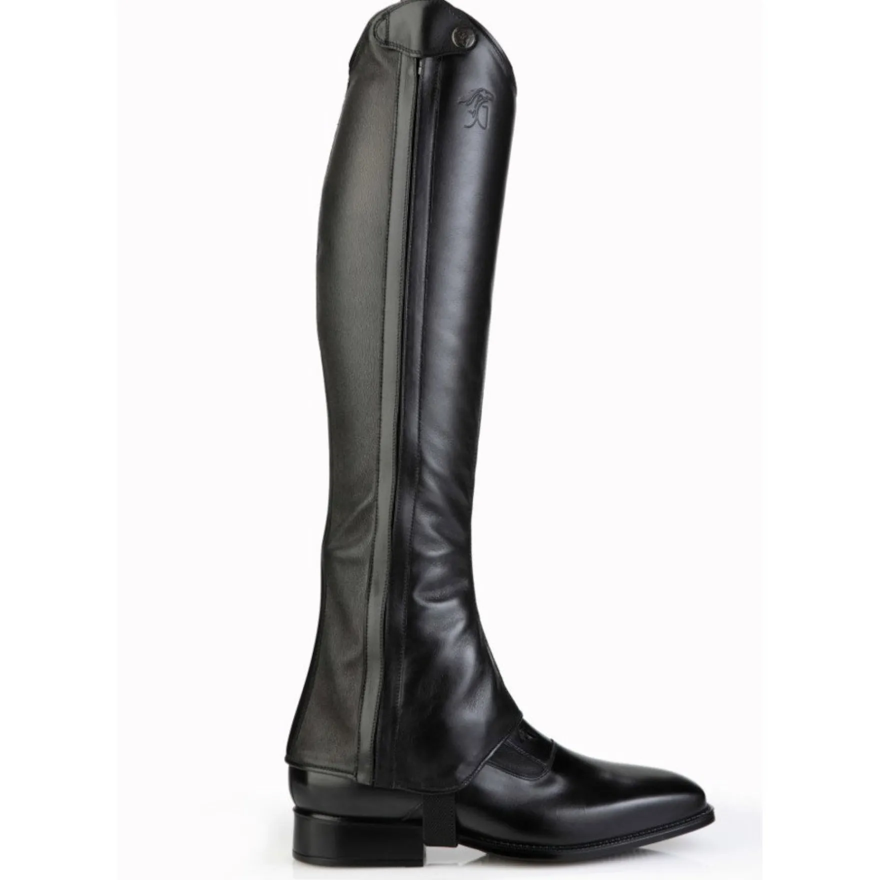 Chaps Pinerolo, Lederchaps, Reitchaps, Damen, Herren