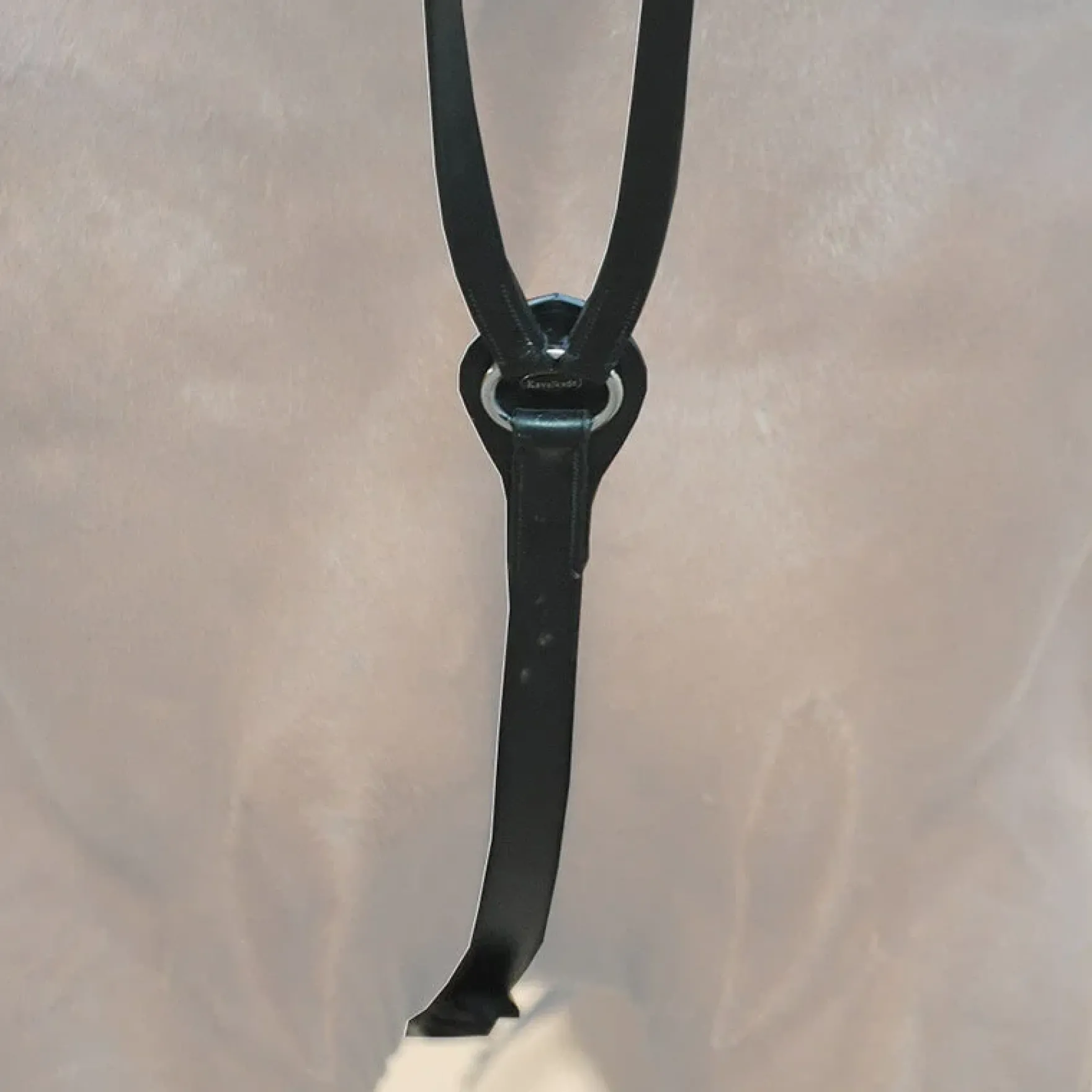 Dreieckszügel