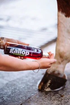 Farbglanz Shampoo Gallop