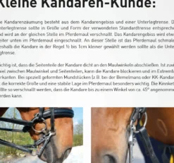 FC-Spezialkandare, Edelstahl