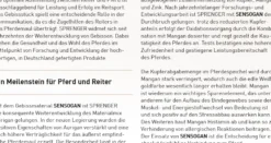 FC-Spezialkandare, Edelstahl
