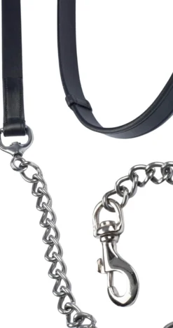 Führkette Chain Lead Rope, Führleine
