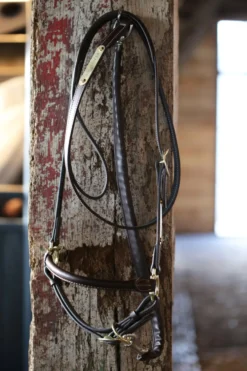 Führleine Leder Covered Chain