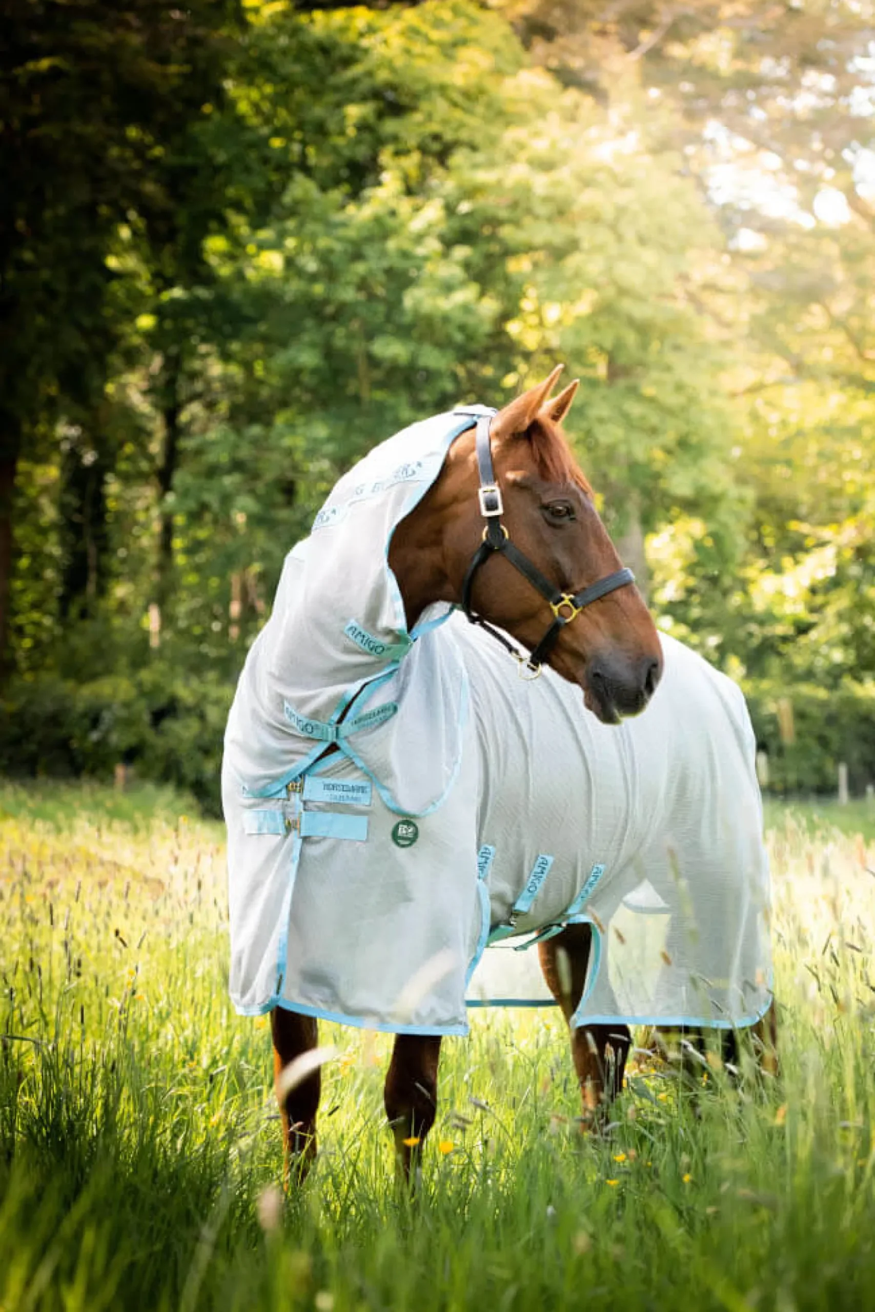 Fliegendecke AmEco Bug Buster FS26, mit UV-Schutz, mit abnehmbarem Halsteil