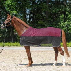 Fliegendecke Fly'n Fleece, mit Fleecerücken