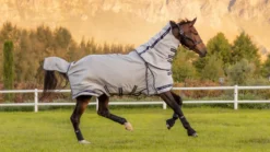 Fliegendecke Kudos Gladiator Fly Rug, mit Halsteil