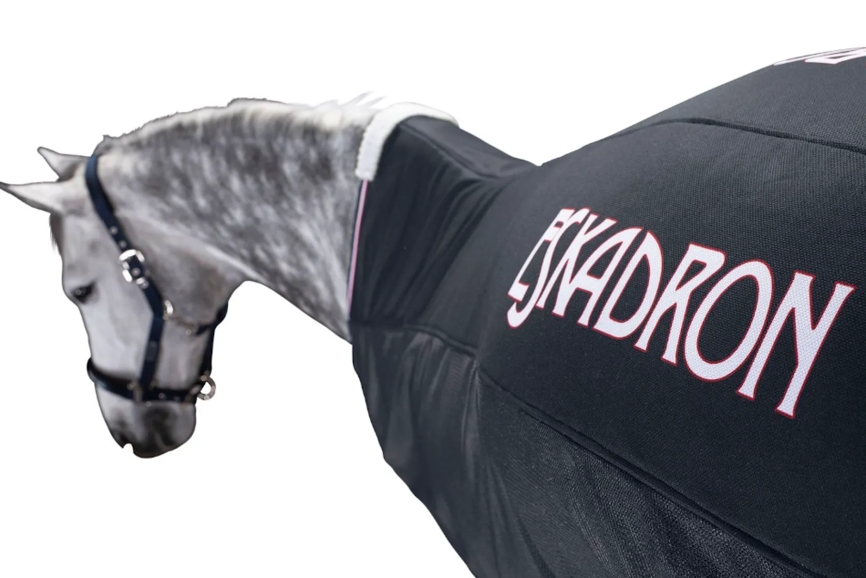 Fliegendecke Pro Cover