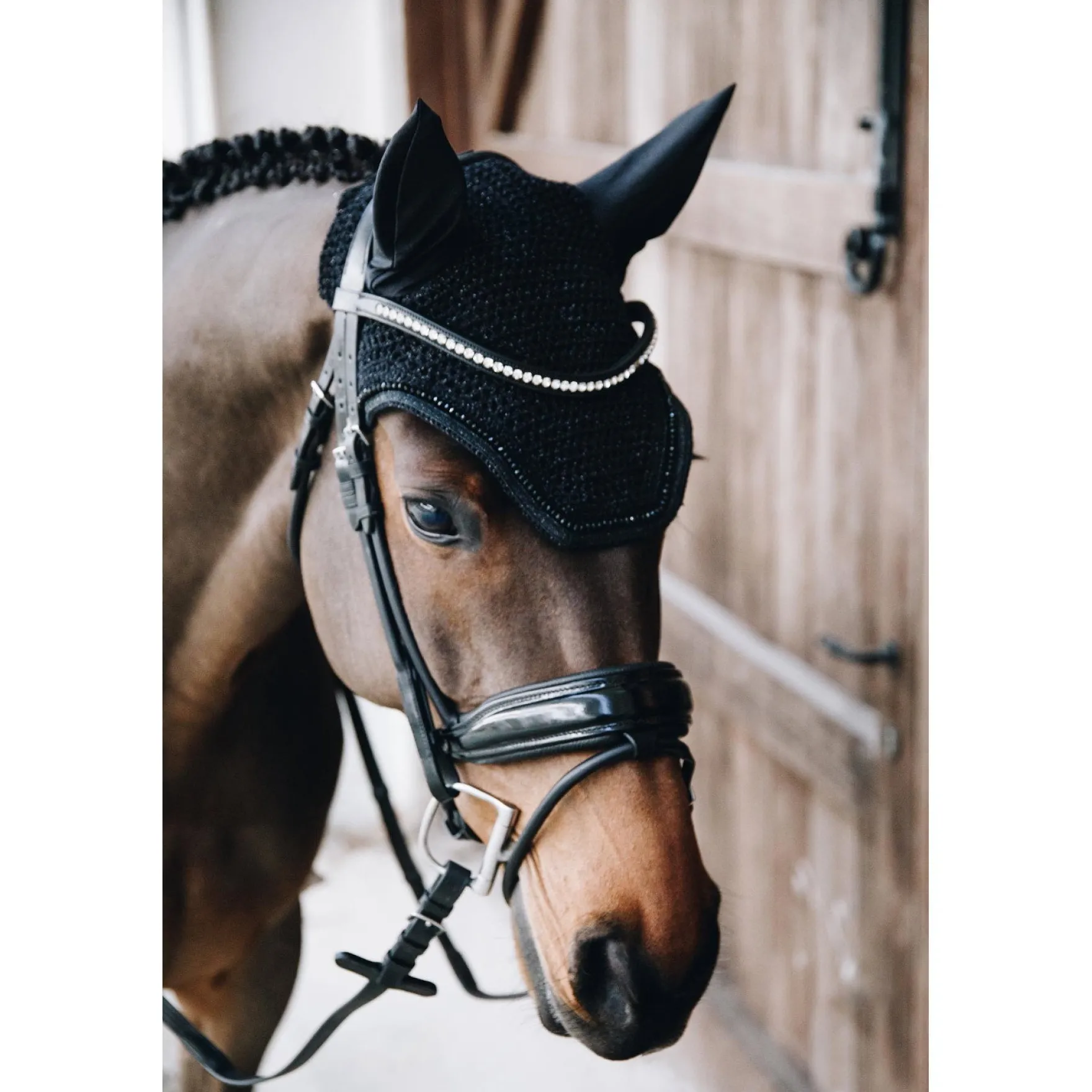 Fliegenhaube Wellington Glitterband Soundless, Fliegenmütze, glitzer