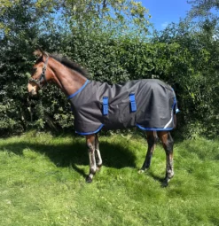 Fohlendecke Amigo Ripstop 900D Foal Turnout, 50 g, Outdoordecke