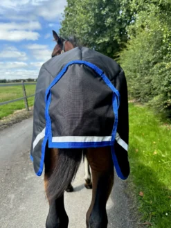 Fohlendecke Amigo Ripstop 900D Foal Turnout, 50 g, Outdoordecke