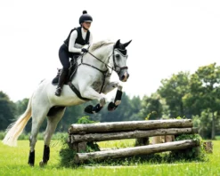 Gamaschen Eventing Technical, Arbeitsgamasche, hinten