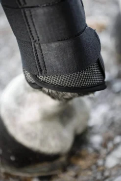 Gamaschen Pro Bamboo Brushing Boots FS26, Dressurgamaschen