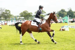 Gamaschen Tri Zone Open Fronted, Springgamaschen