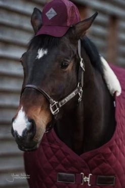 Halfter Anatomic Leather Halter, Lederhalfter