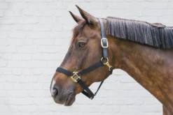 Halfter Breakaway, Nylonhalfter, mit Sollbruchstelle