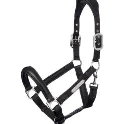 Halfter Capella Headcollar, Leder-/Nylonhalfter