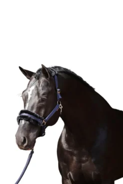 Halfter Classic Soft, Kunstfellhalfter