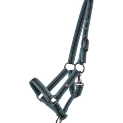 Halfter Collection FS25, Fohlenhalfter