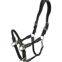 Halfter Cordano Deluxe FS26, Nylonhalfter