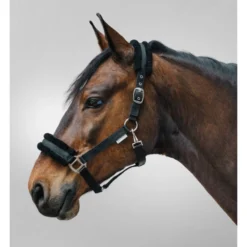 Halfter First, Kunstfellhalfter
