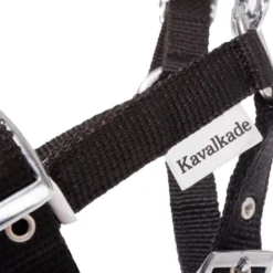 Halfter, Fohlenhalfter, Jährlingshalfer