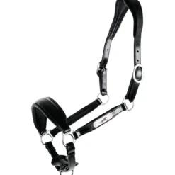 Halfter Fremont Pro, Lederhalfter, Putzhalfter
