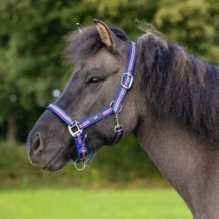 Halfter Icelandic, Nylonhalfter