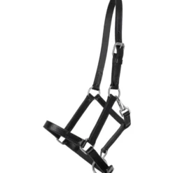 Halfter mit Clip, Lederhalfter, Fohlenhalfter