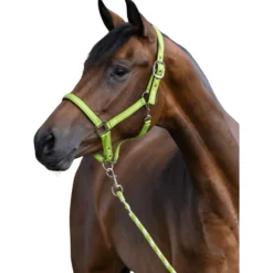 Halfter Mustang, Nylonhalfter