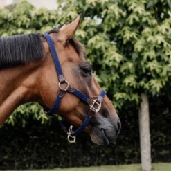 Halfter Plaited Nylon