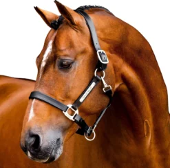 Halfter Signature Leather FS26, Lederhalfter