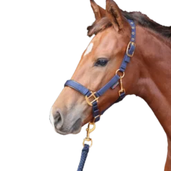 Halfter Top Line, Nylonhalfter, Fohlenhalfter, Mini Shetlandhalfter