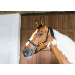 Halfter Wellington, Kunstlederhalfter, mit Gravurplatte