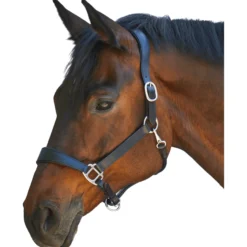 Halfter X-Line Anatomic, Lederhalfter