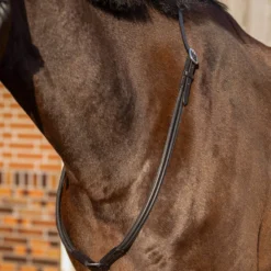 Halsring Liberta, Halsseil, Leder