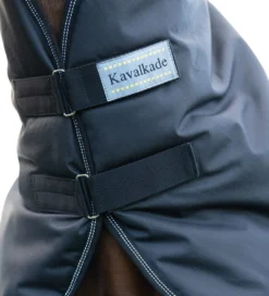 Halsteil für Halifax 2-in-1 Outdoor- und Führanlagendecke