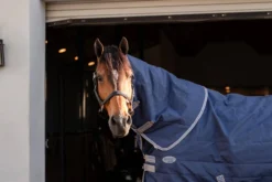 Halsteil Rhino Stable Hood, 100 g