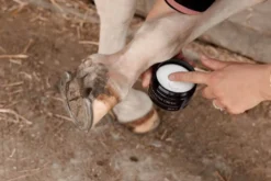 Hautpflege Mud Fever Creme Plus, Hautsalbe