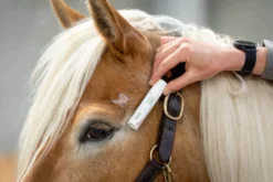 Hautpflege SOS Repair Gel