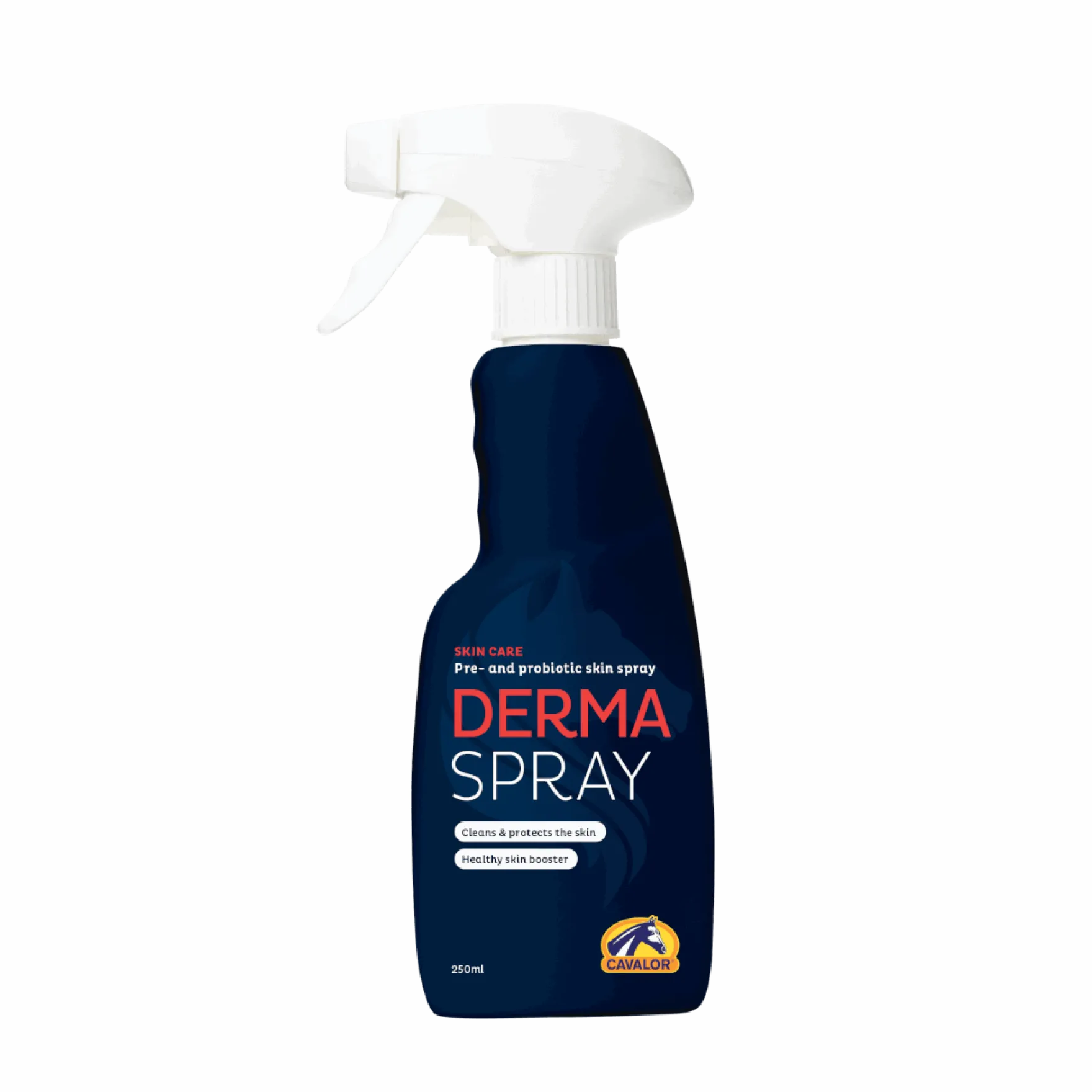 Hautpflegespray Derma Spray