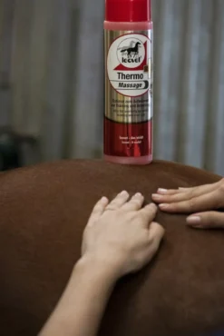Hautpflege Thermo-Massage