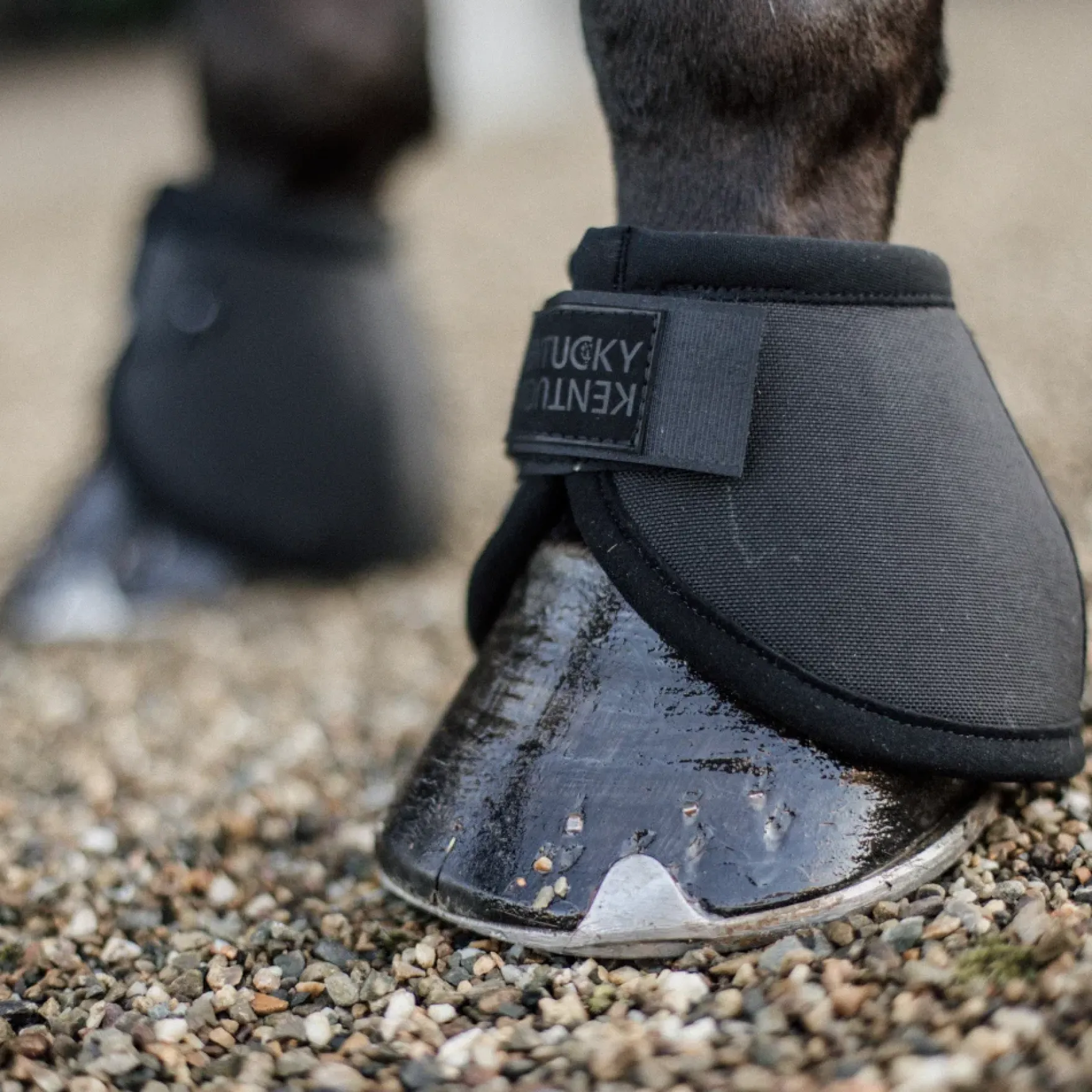 Hufglocken Overreach Boots Heel Protection, Springglocken, Ballenschutz
