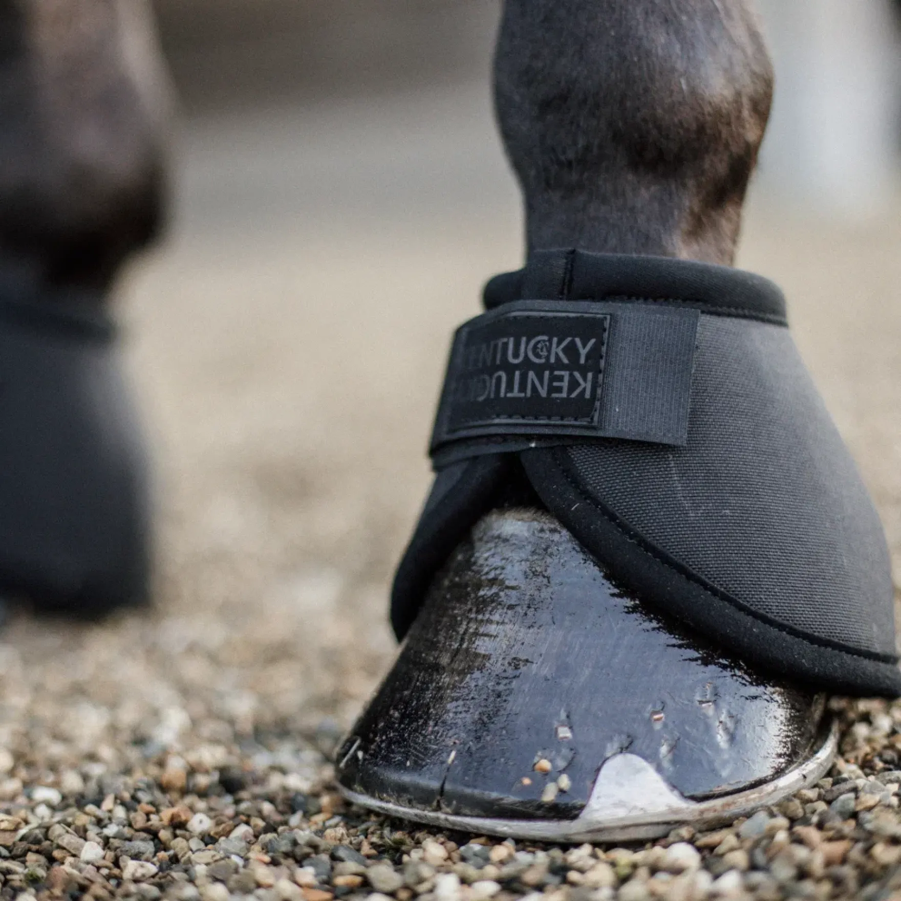 Hufglocken Overreach Boots Heel Protection, Springglocken, Ballenschutz